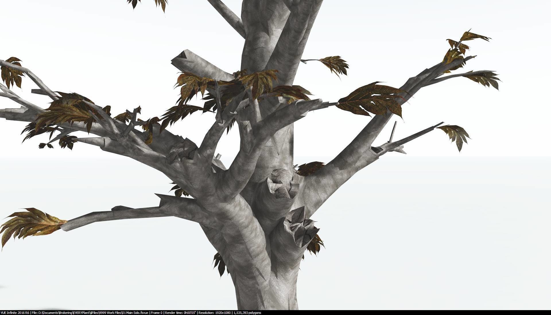 EVERYPlant Breadnut 2 --12 Models-- 3D model_13