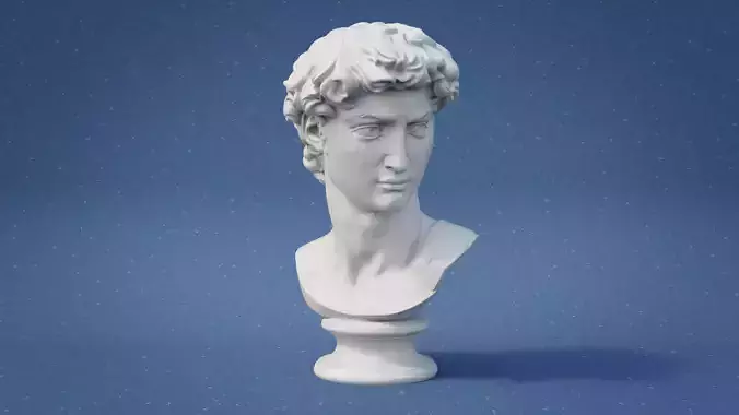 Michelangelo David Head Bust 3D print model