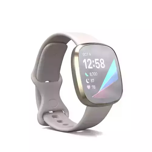 Fitbit Versa 2 Smartwatch PBR