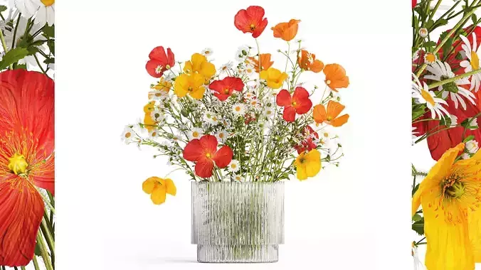 Bouquet of wild flowers Poppy chamomile daisies 422