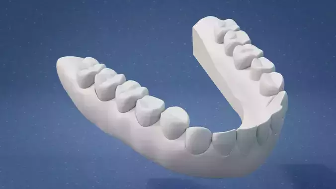 Teeth 3D print model
