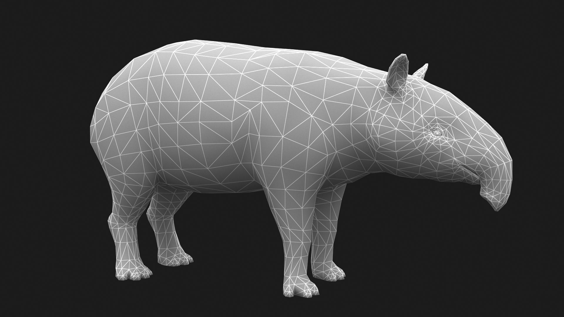 Animated Tapir Low-poly 3D model_4