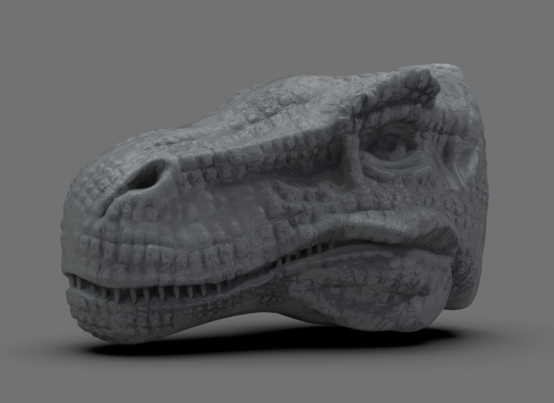 T Rex Head 3D print model_4