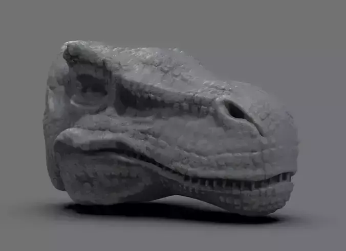 T Rex Head
