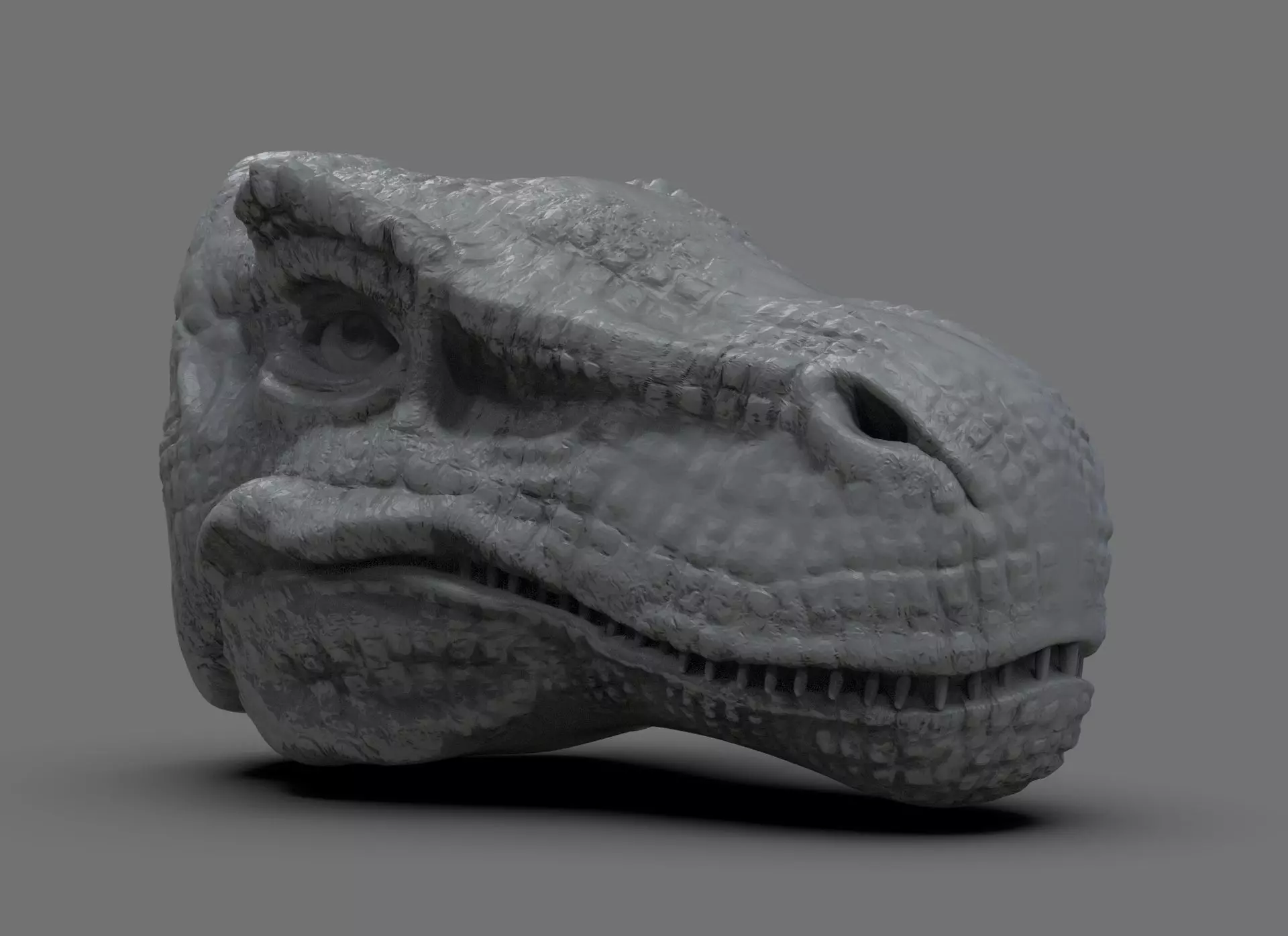 T Rex Head 3D print model_0