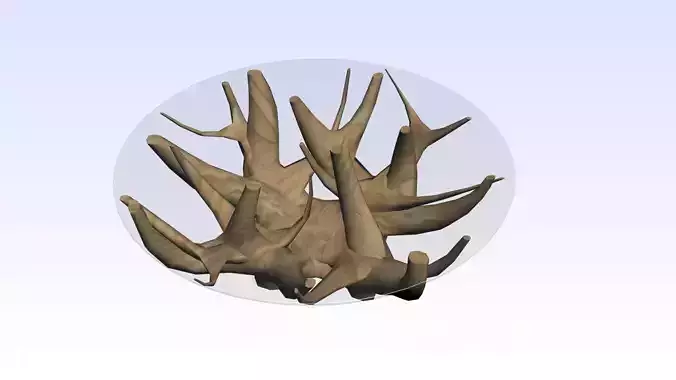 COFFEE TABLE TEAK ROOT