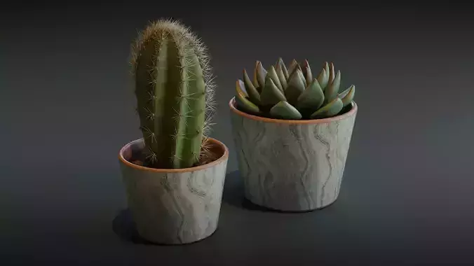 Cactus and Succulent Low-poly 3D model