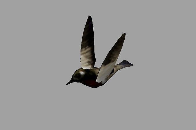sparrow bird with Rigging and  Animation  Low-poly 3D model