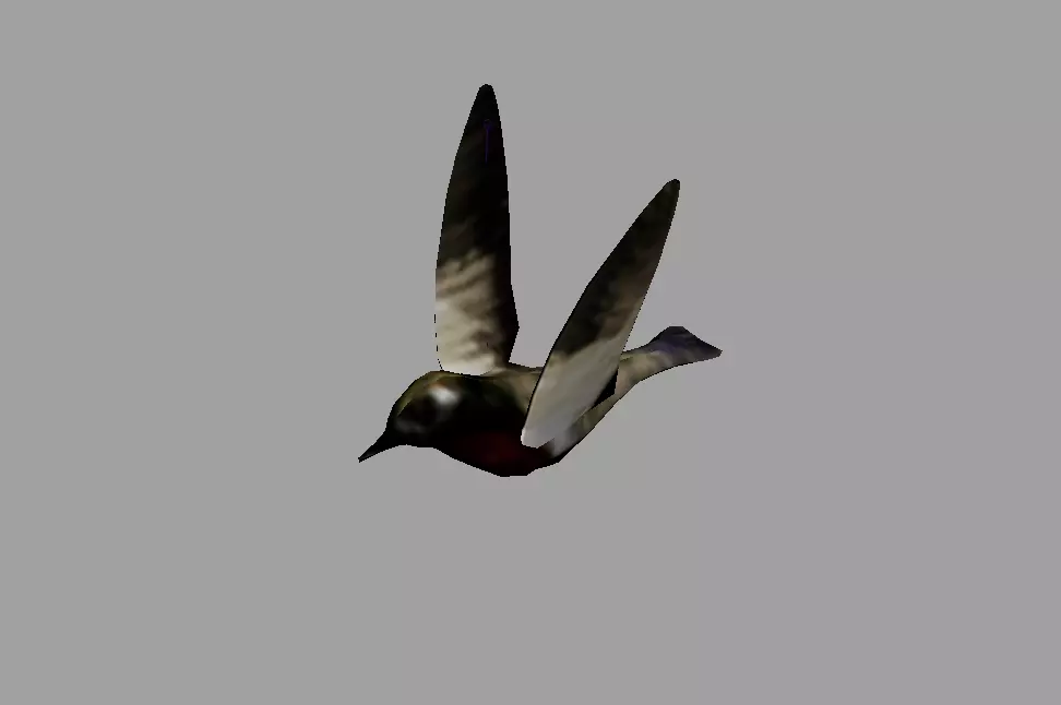 sparrow bird with Rigging and Animation Low-poly 3D model