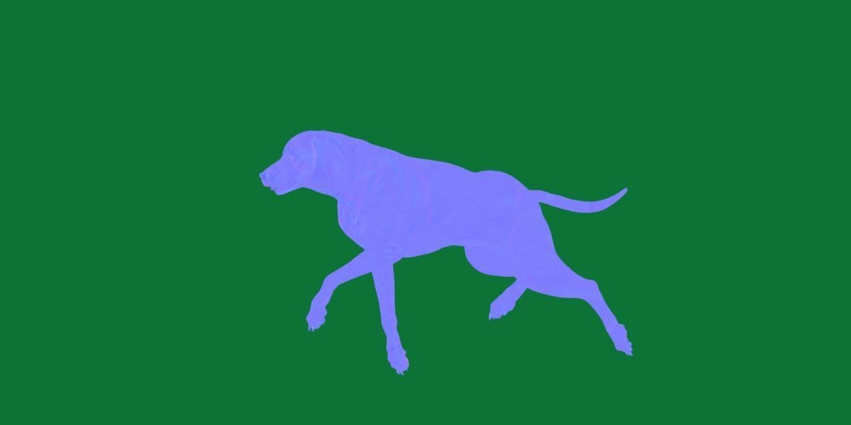 Vizsla Dog 3D model_18