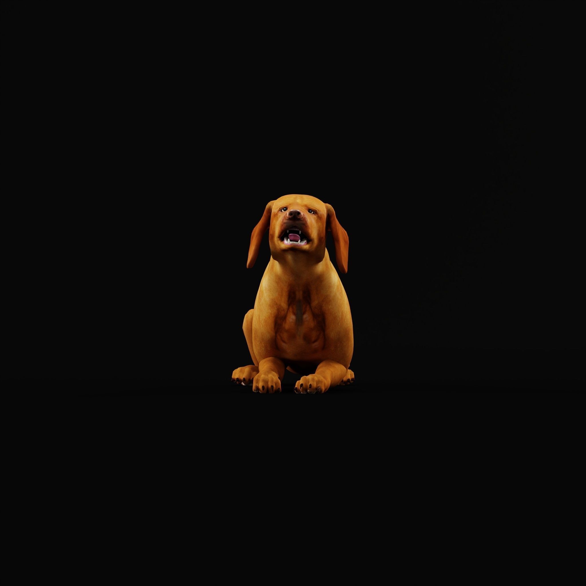 Vizsla Dog 3D model_28