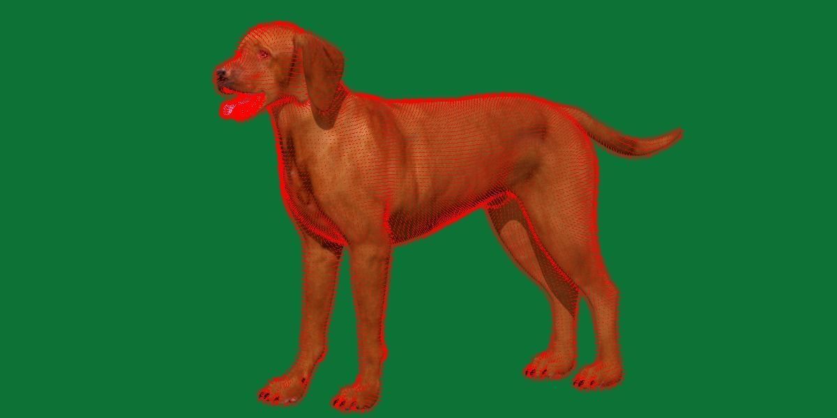 Vizsla Dog 3D model_9