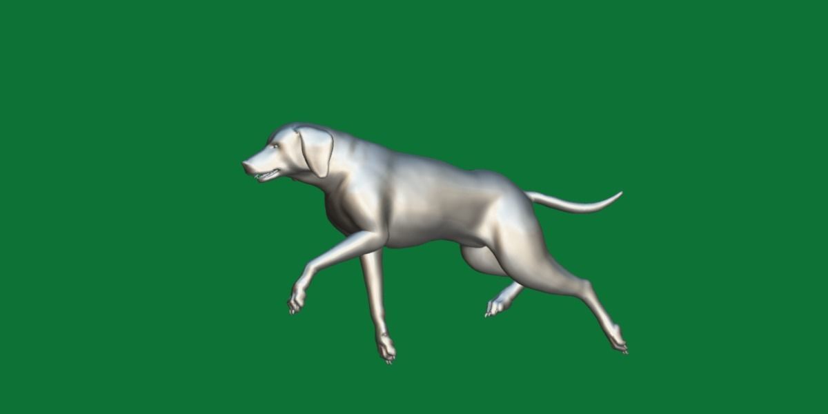 Vizsla Dog 3D model_6