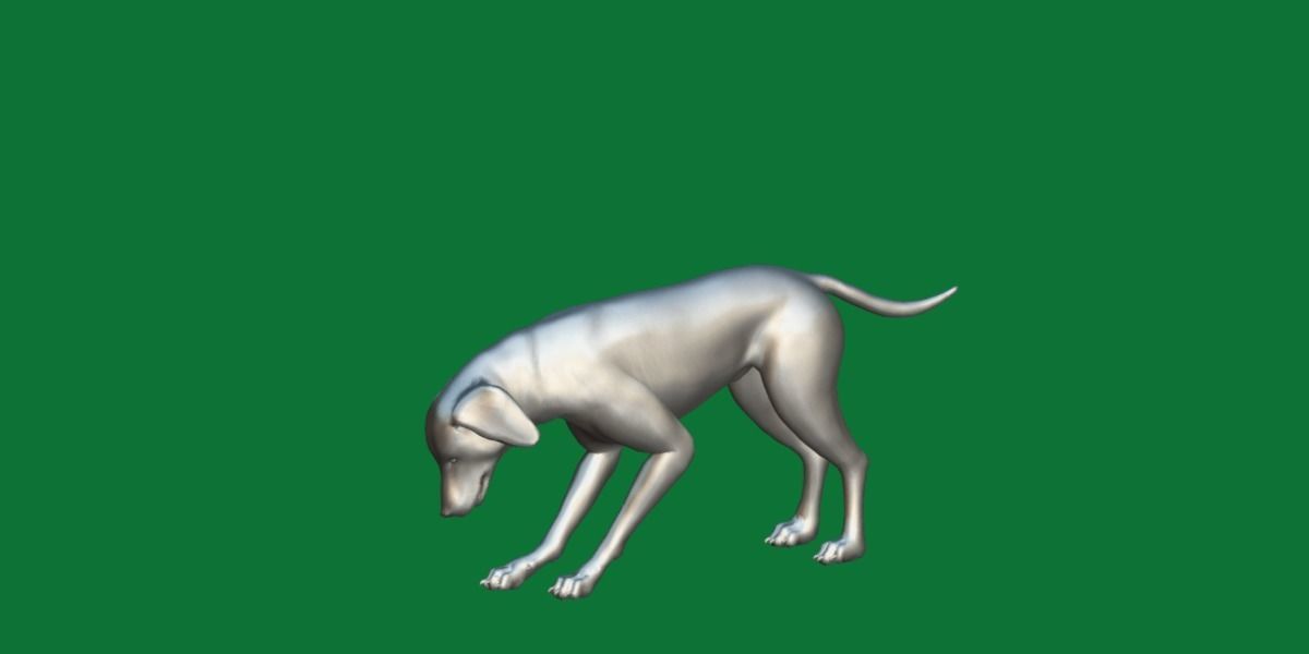 Vizsla Dog 3D model_7