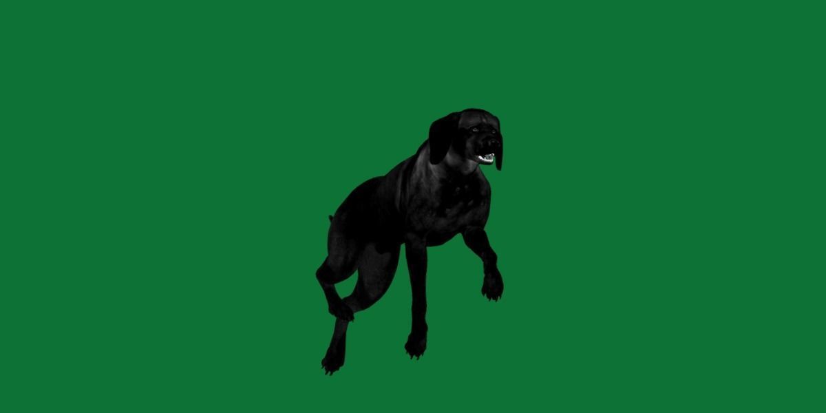 Vizsla Dog 3D model_5