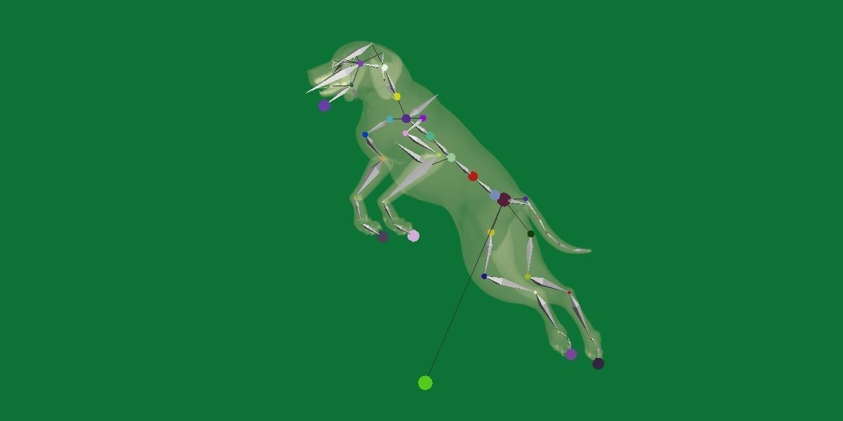 Vizsla Dog 3D model_13