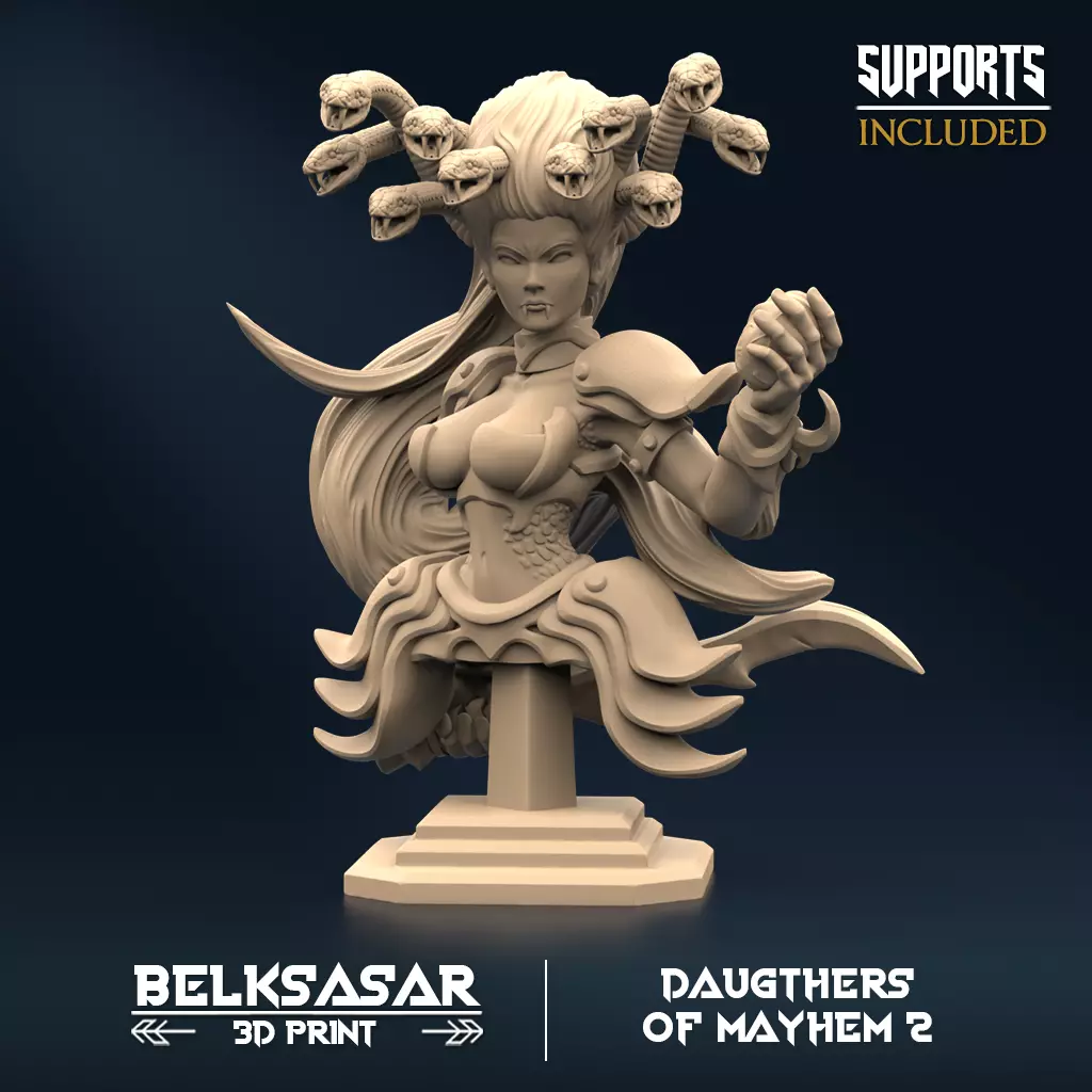 Medussa Bust 3D print model