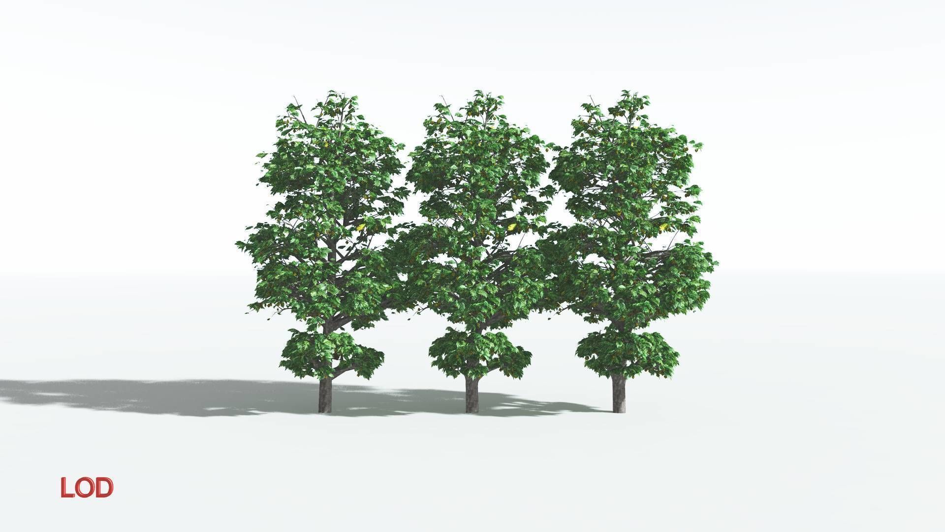 EVERYPlant Breadnut 3 --12 Models-- 3D model_3