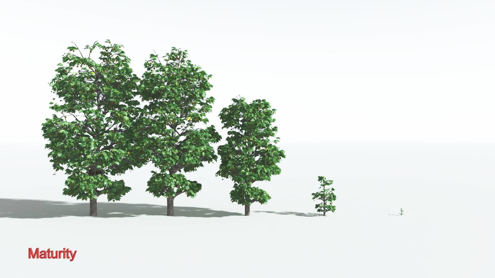 EVERYPlant Breadnut 3 --12 Models-- 3D model_2