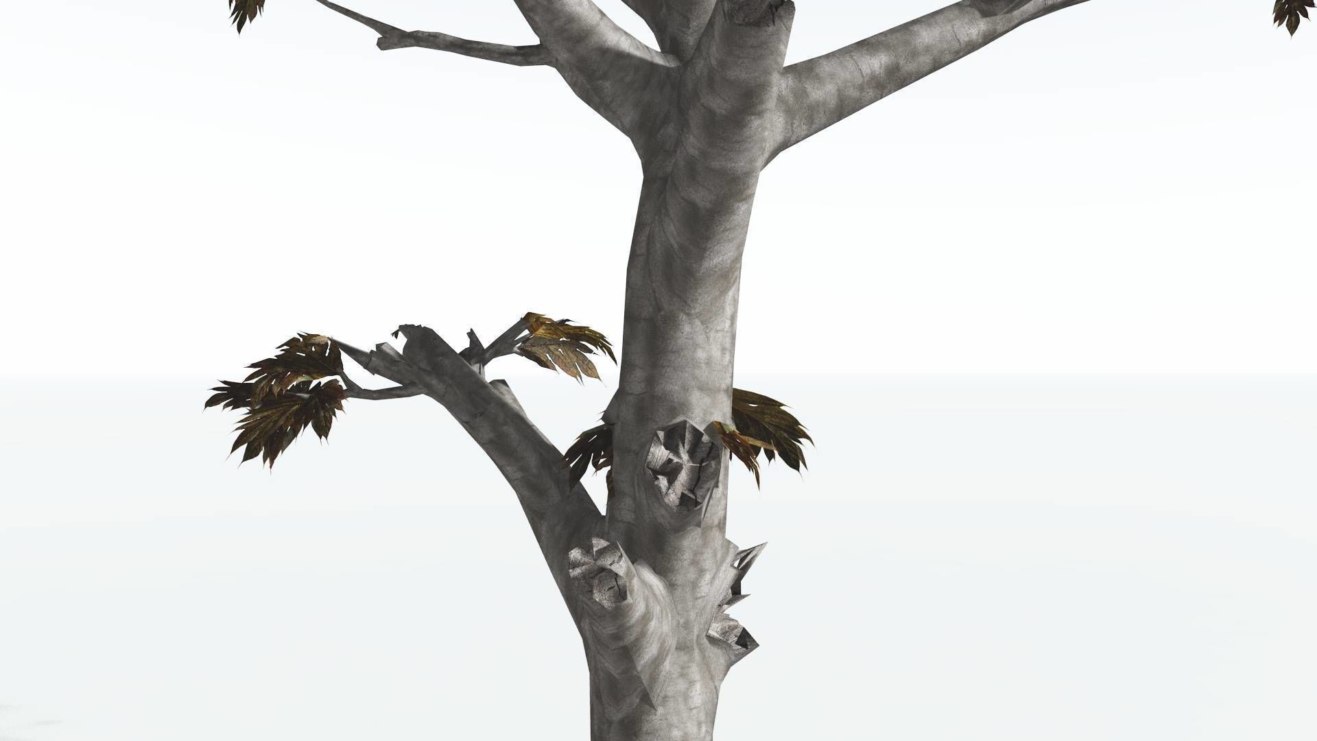 EVERYPlant Breadnut 3 --12 Models-- 3D model_13