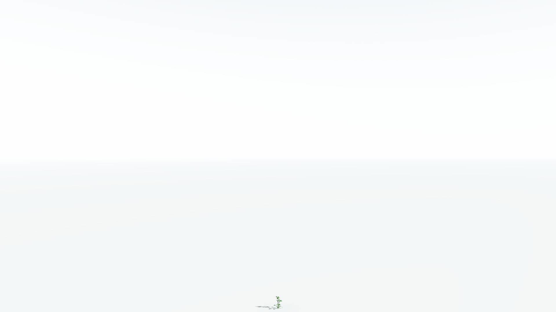 EVERYPlant Breadnut 3 --12 Models-- 3D model_22