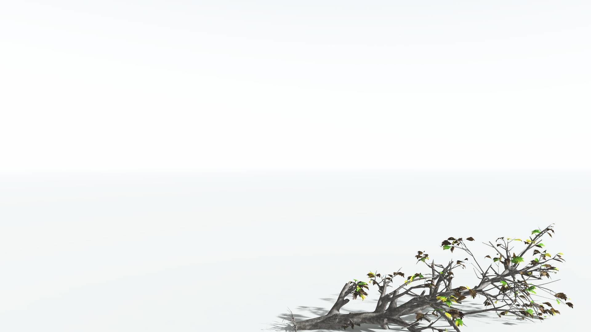 EVERYPlant Breadnut 3 --12 Models-- 3D model_14