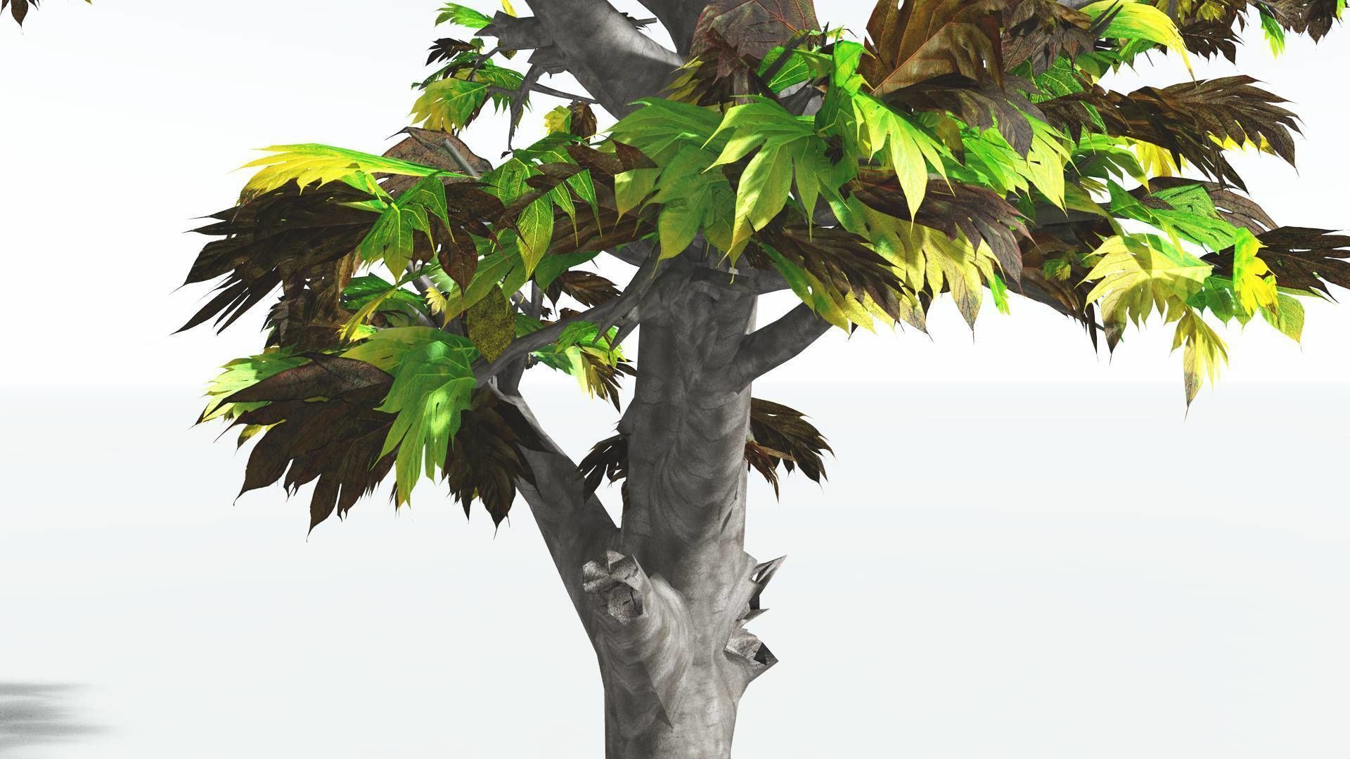 EVERYPlant Breadnut 3 --12 Models-- 3D model_11