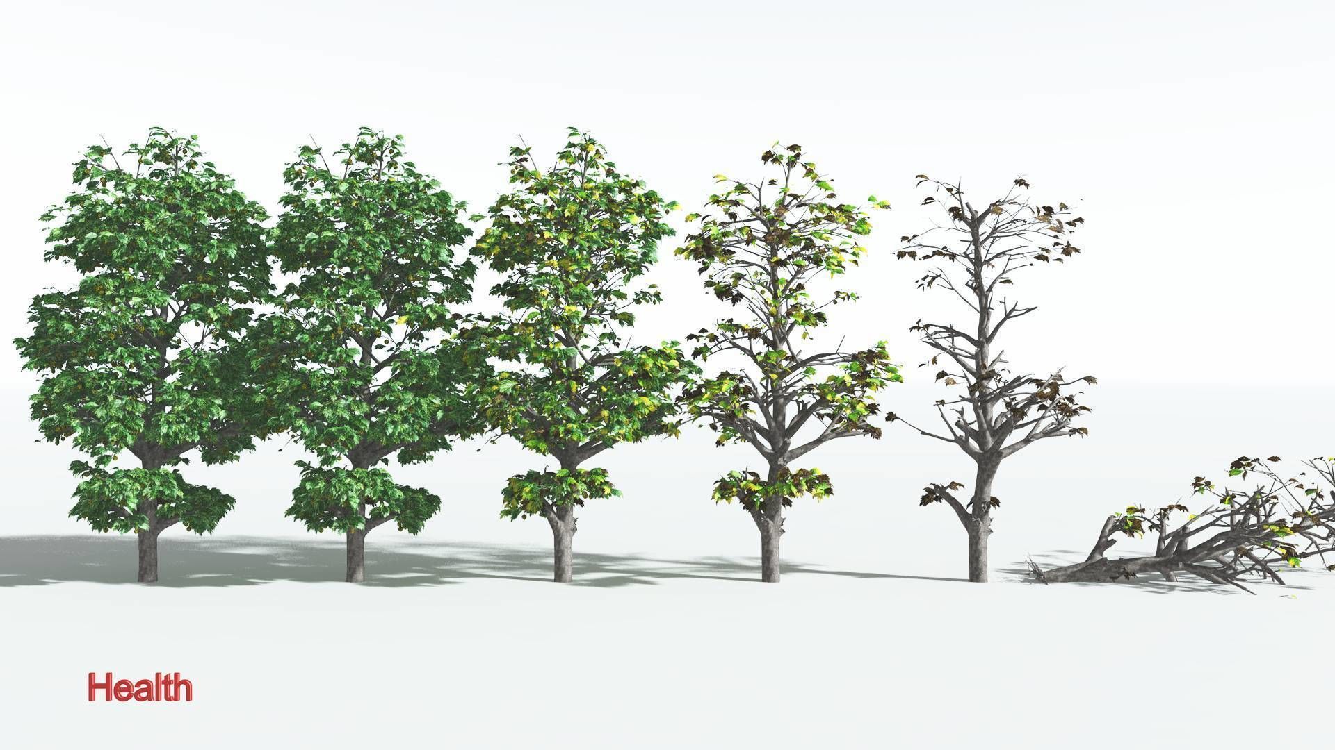 EVERYPlant Breadnut 3 --12 Models-- 3D model_1