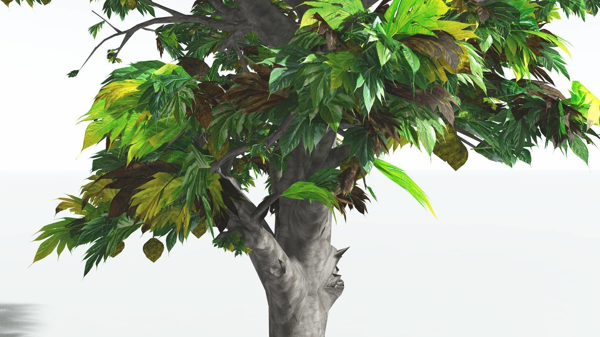 EVERYPlant Breadnut 3 --12 Models-- 3D model_9