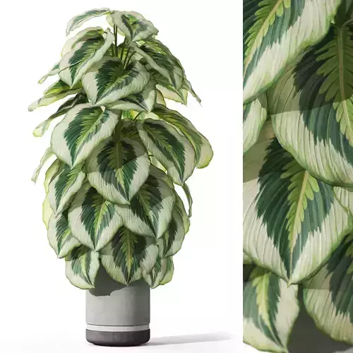 Plants collection 1085 3D model