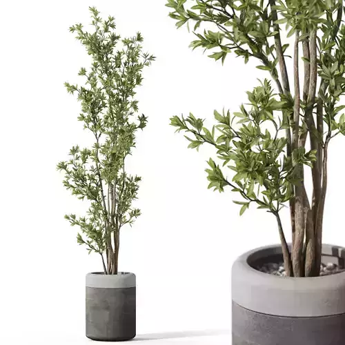 Plants collection 1086 3D model