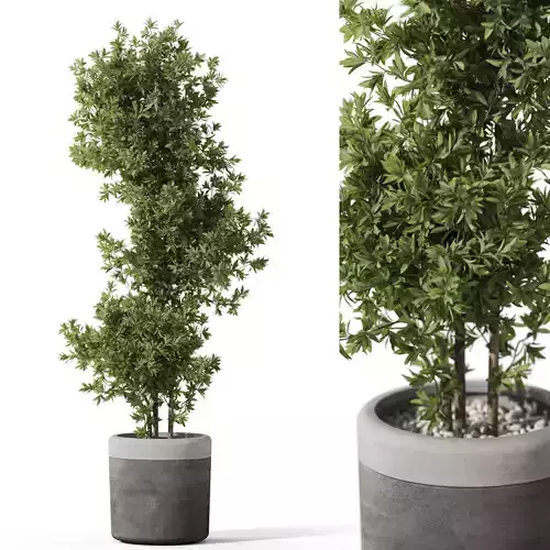 Plants collection 1087 3D model