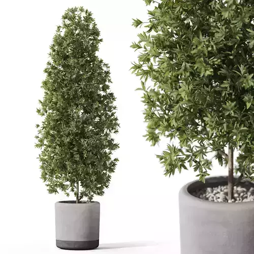 Plants collection 1088 3D model