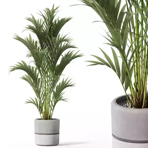 Plants collection 1089 3D model