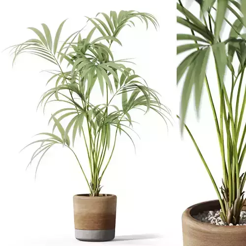 Plants collection 1090 3D model
