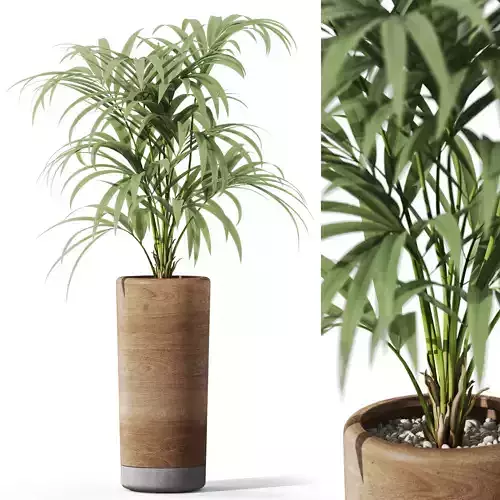 Plants collection 1091 3D model