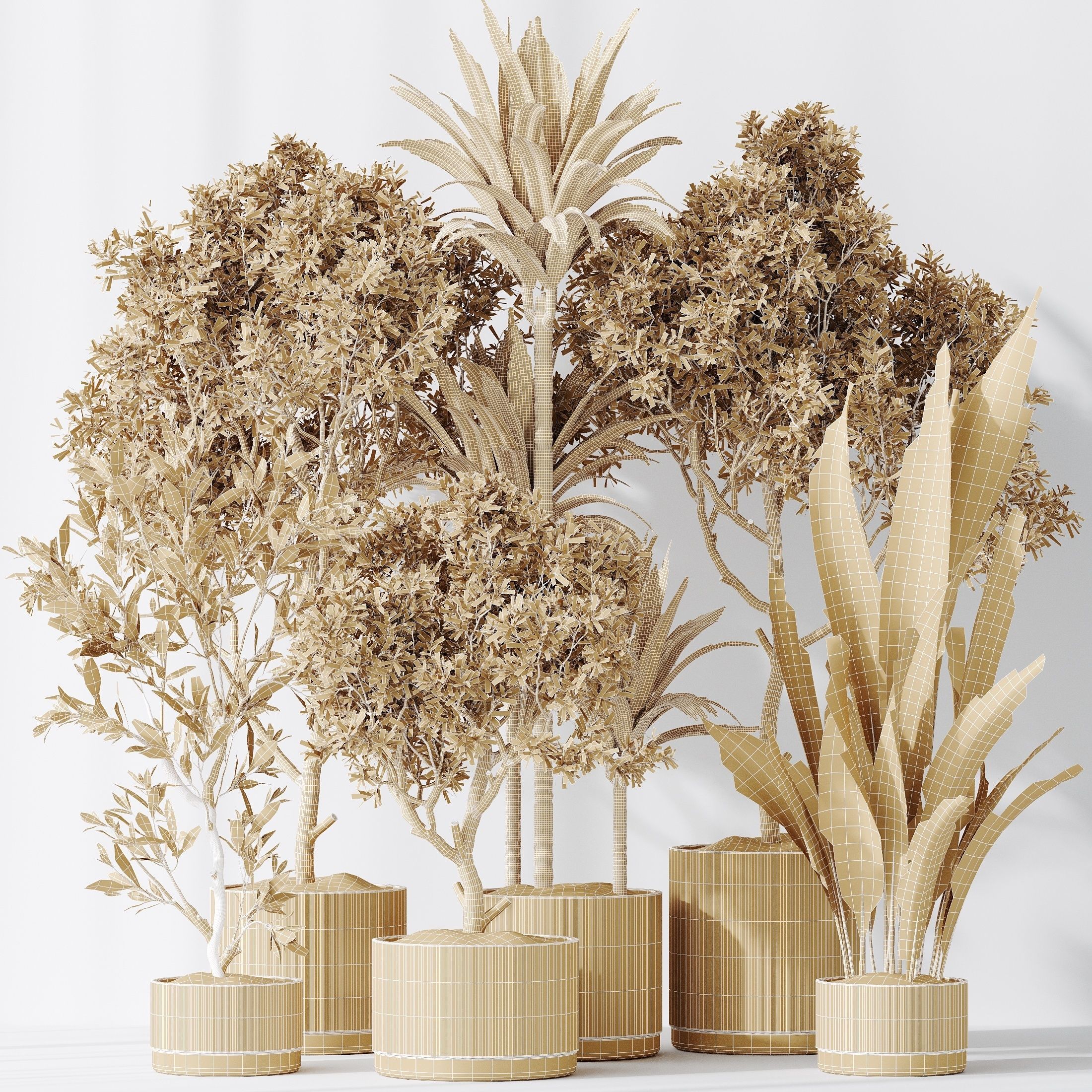 ndoor plant set 63 3D model_4