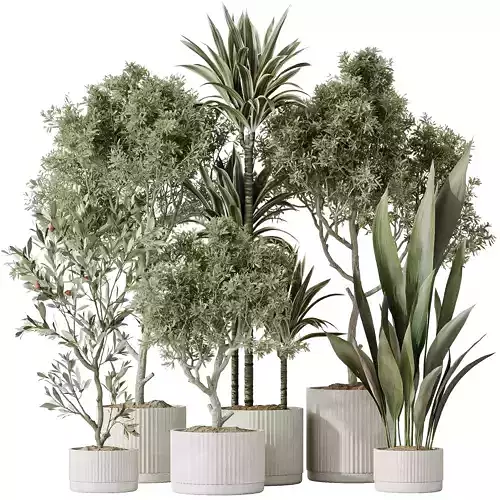 ndoor plant set 63 3D model