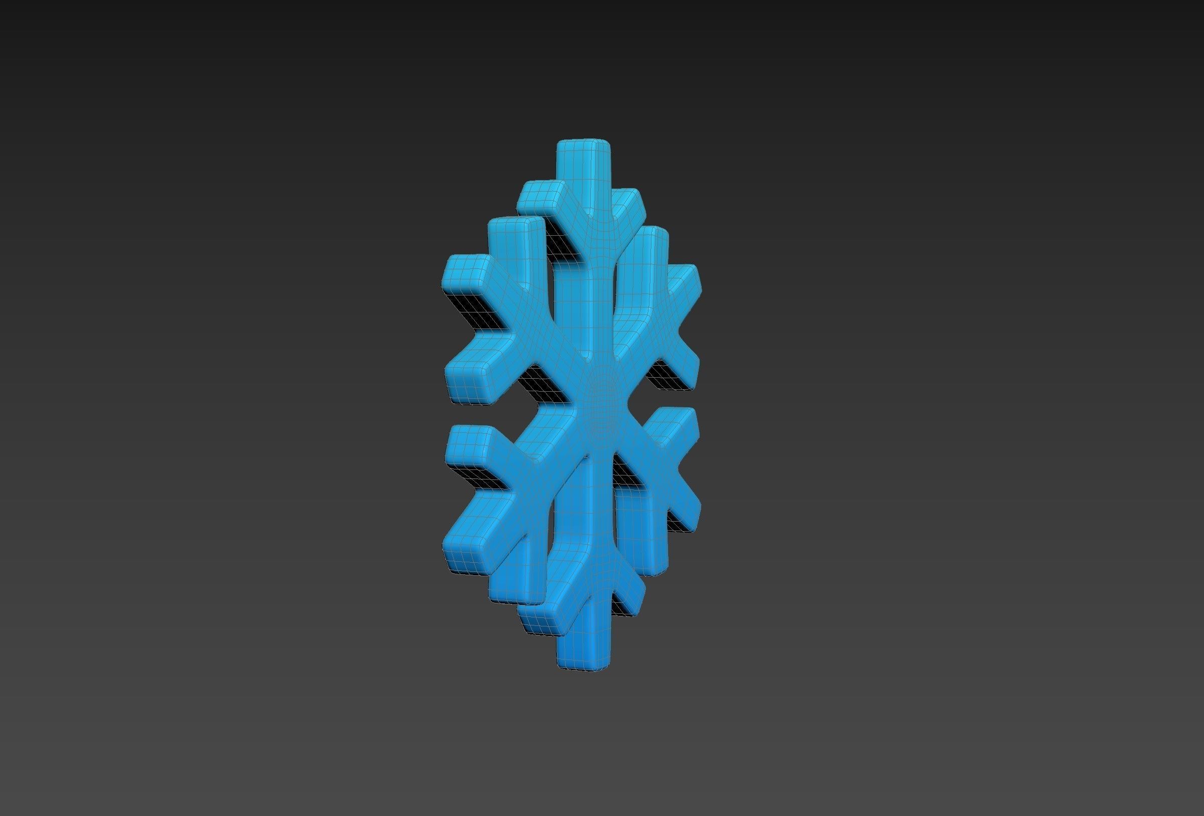 Snowflake 3D model_23