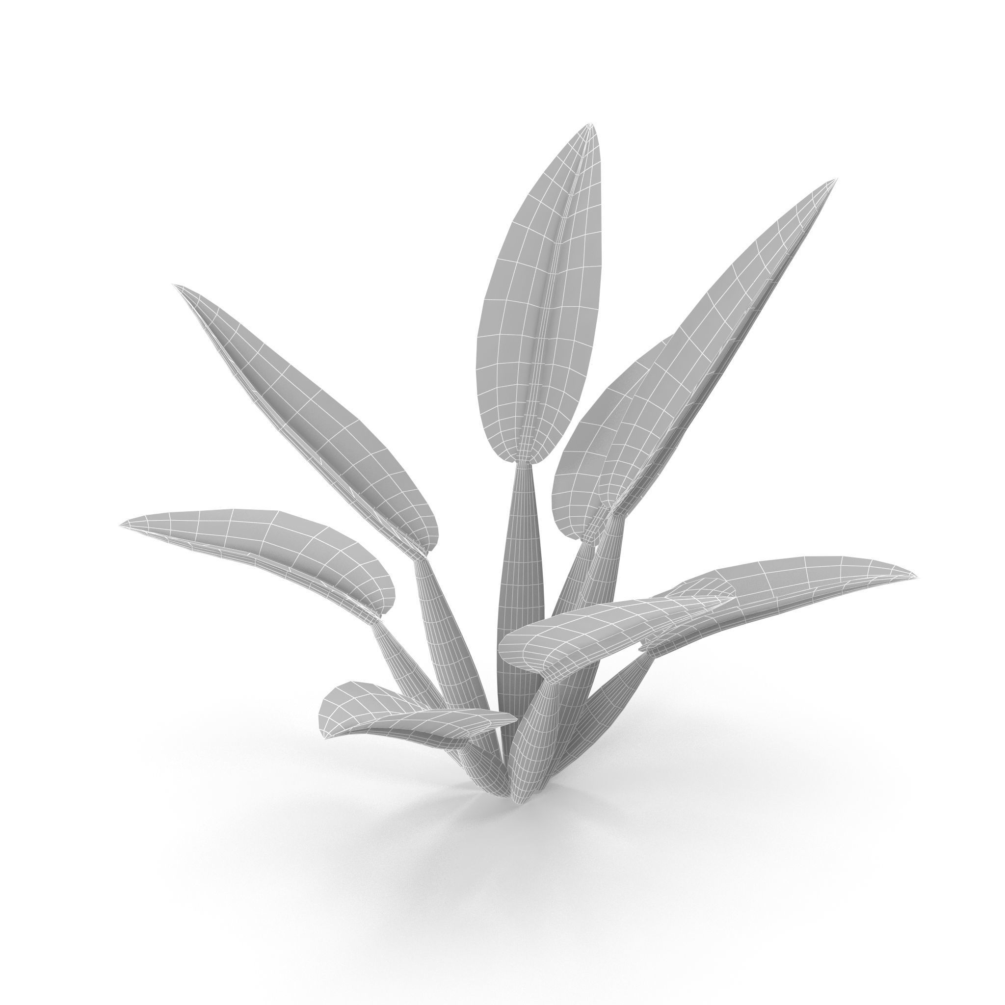 Philodendron martianum Low-poly 3D model_9