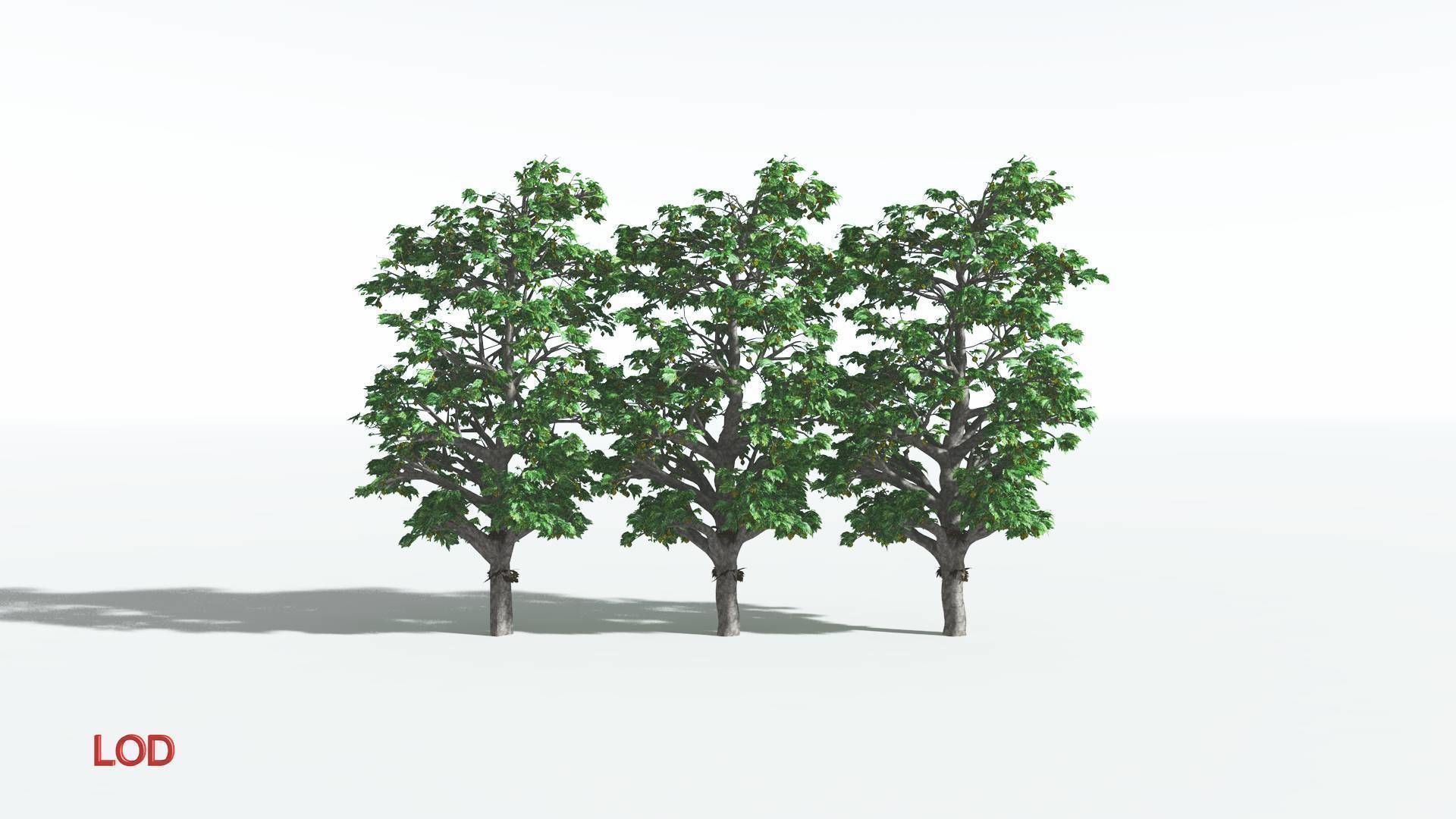 EVERYPlant Breadnut 4 --12 Models-- 3D model_3
