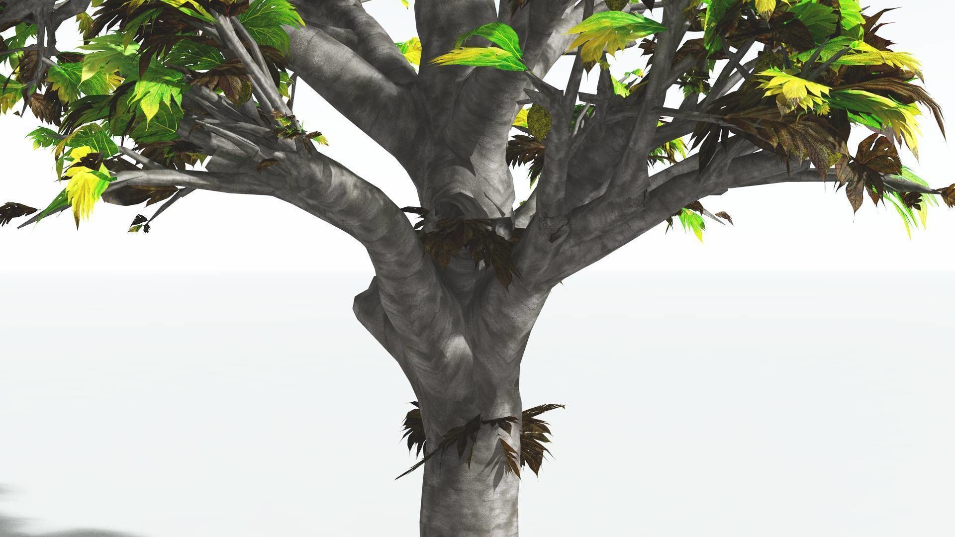 EVERYPlant Breadnut 4 --12 Models-- 3D model_11