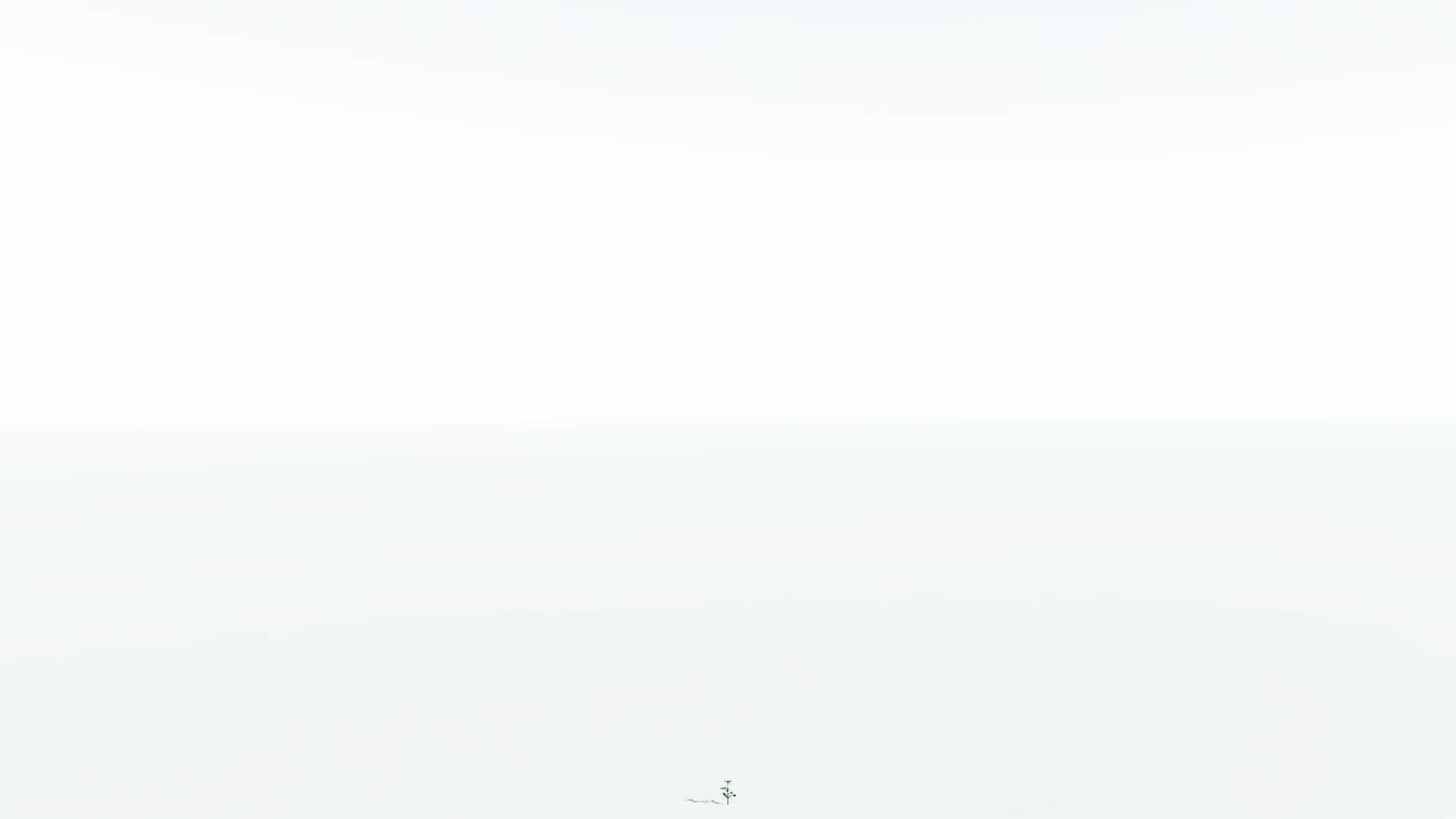 EVERYPlant Breadnut 4 --12 Models-- 3D model_22