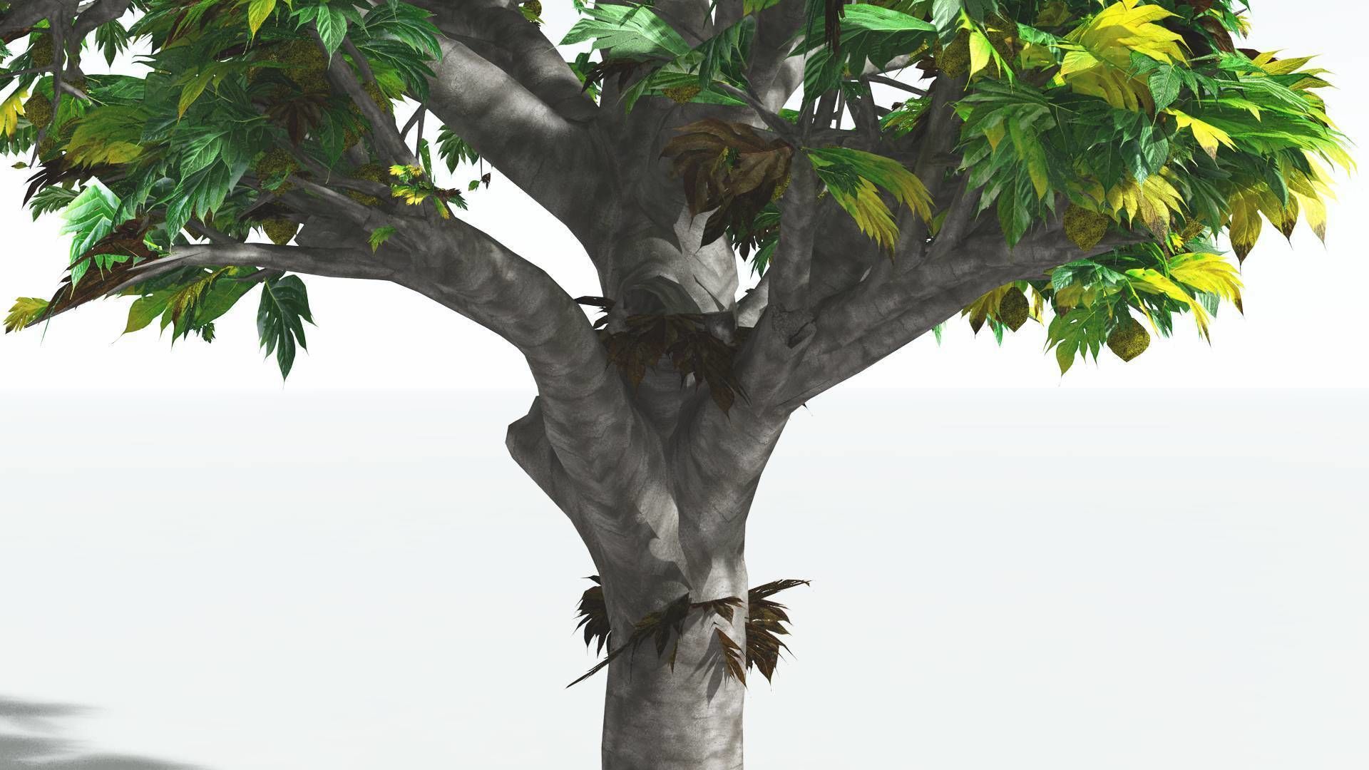 EVERYPlant Breadnut 4 --12 Models-- 3D model_9