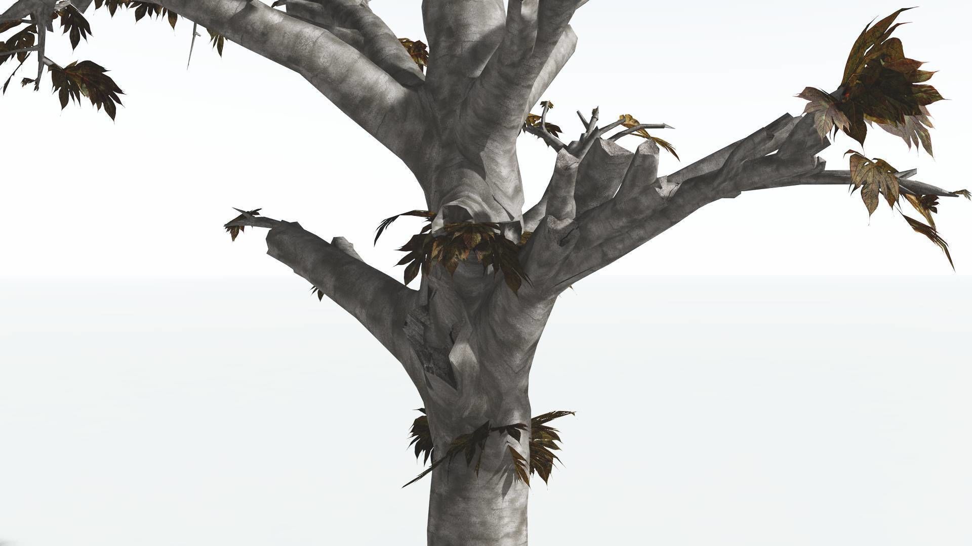 EVERYPlant Breadnut 4 --12 Models-- 3D model_13