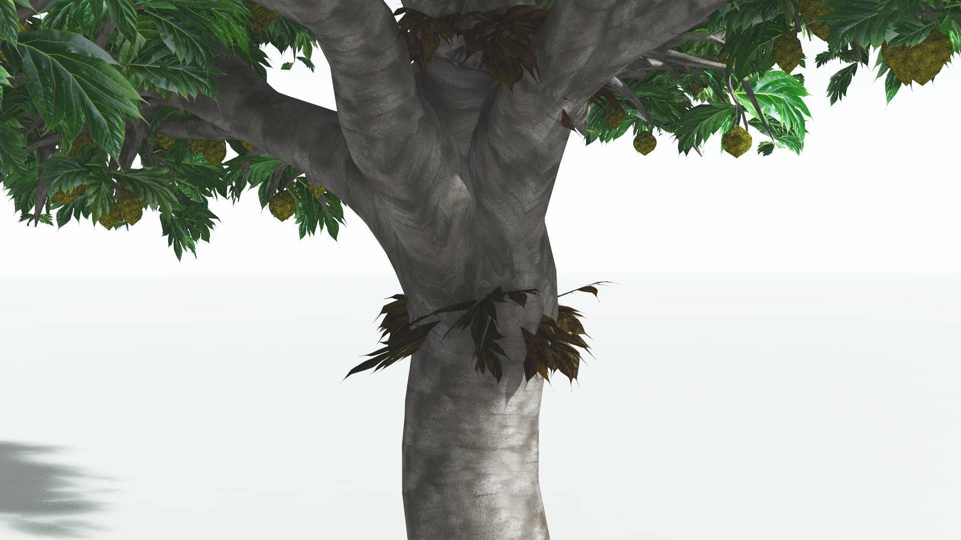 EVERYPlant Breadnut 4 --12 Models-- 3D model_17