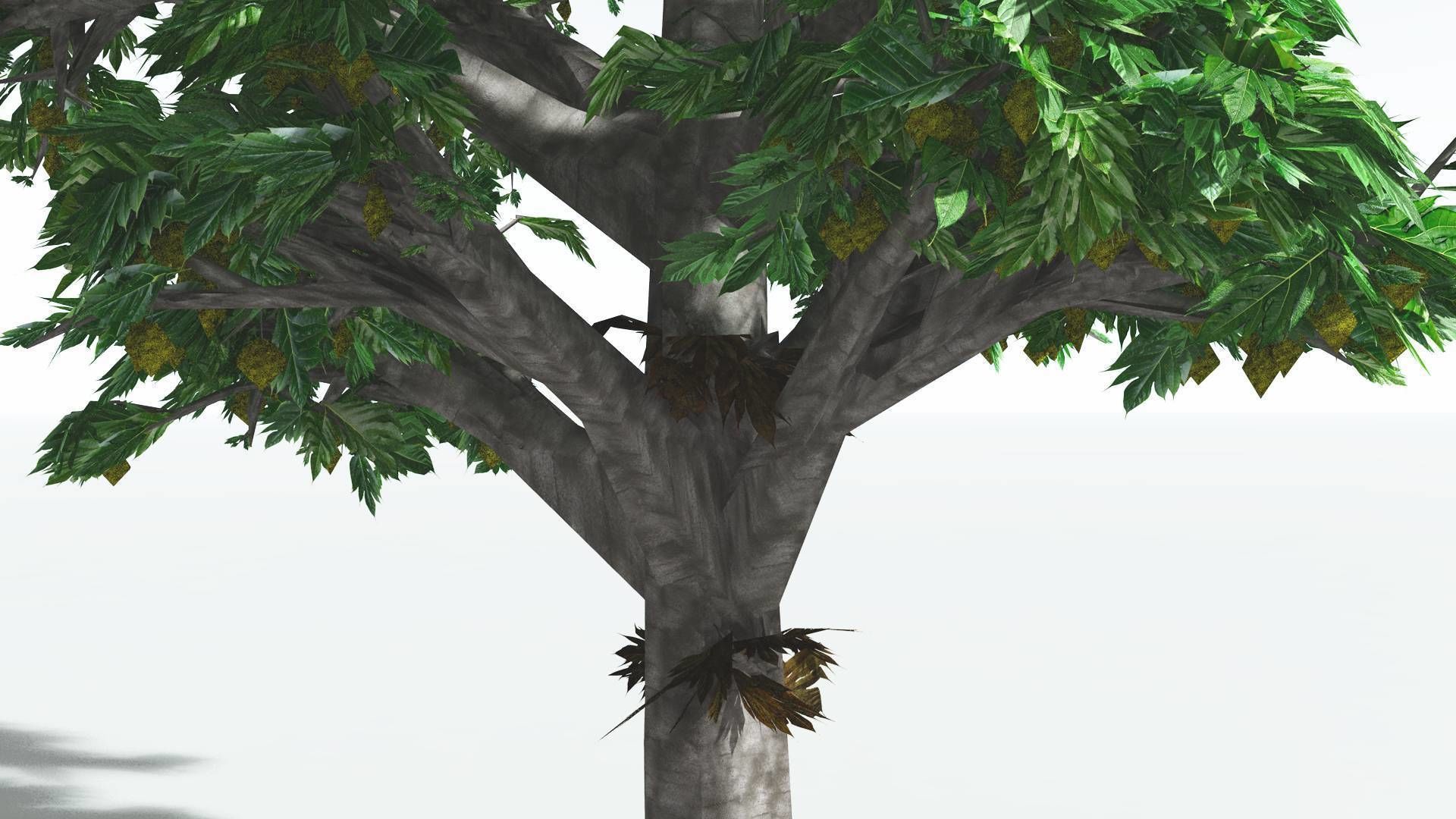 EVERYPlant Breadnut 4 --12 Models-- 3D model_25