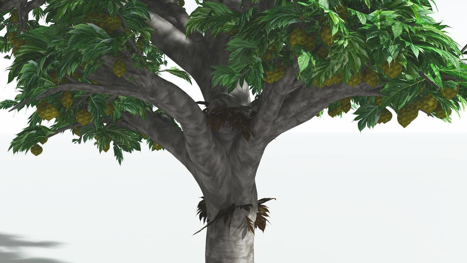 EVERYPlant Breadnut 4 --12 Models-- 3D model_27