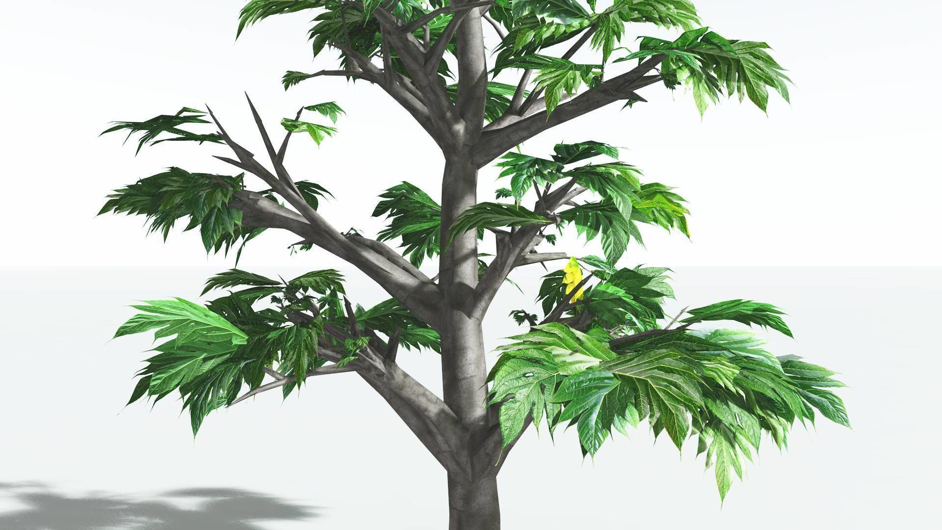 EVERYPlant Breadnut 4 --12 Models-- 3D model_21