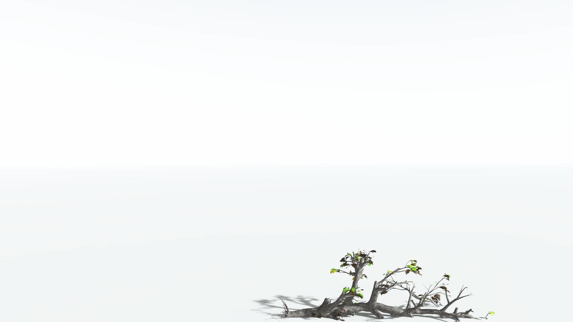 EVERYPlant Breadnut 4 --12 Models-- 3D model_14